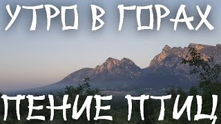 Утро В Горах Под Пение Птиц. Атмосферное Видео.