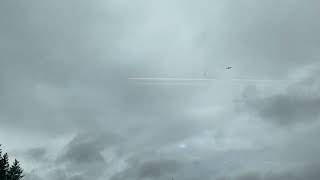 IMG 0118