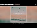 Nontokozo Mkhize - Moyongcwele (Official Audio)