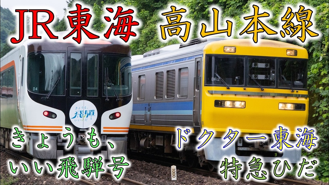 ドクター東海】JR東海 キヤ95系検測・HC85系特急ひだ【高山本線