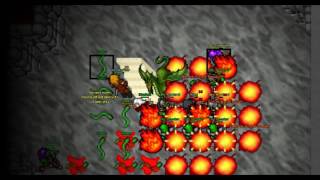 Classictibia