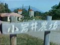 小岩井乳製品詰め合わせ（お歳暮）CM 1986年　15秒