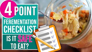 FERMENTATION CHECKLIST - 4 Checks To Know If Your Ferment Is Safe To Eat