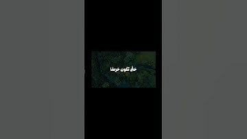 الشيخ محمد الليثي سورة يوسف #قرآن #المصحف #اكسبلور