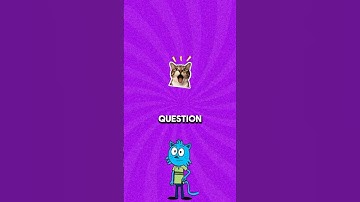 Are you able to answer all of them ? #quiz #quiztime #quizchallenge #riddles #creatorsearchinsights