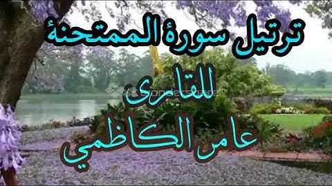 ترتيل سورة الممتحنة  للقارئ عامر الكاظمي