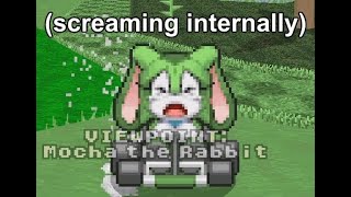 rabbit abuse simulator 4 (sonic robo blast 2 kart)