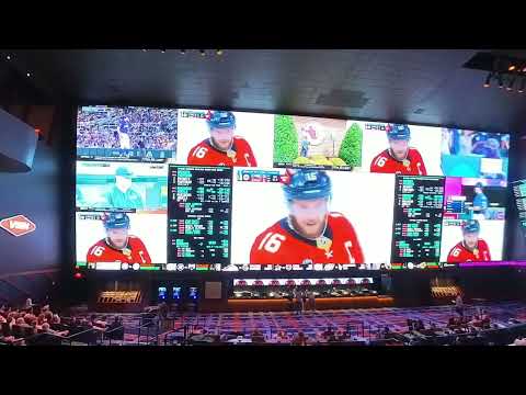 Winpot Casino: Tu momento es ahora | Uno de los casinos más importantes de México