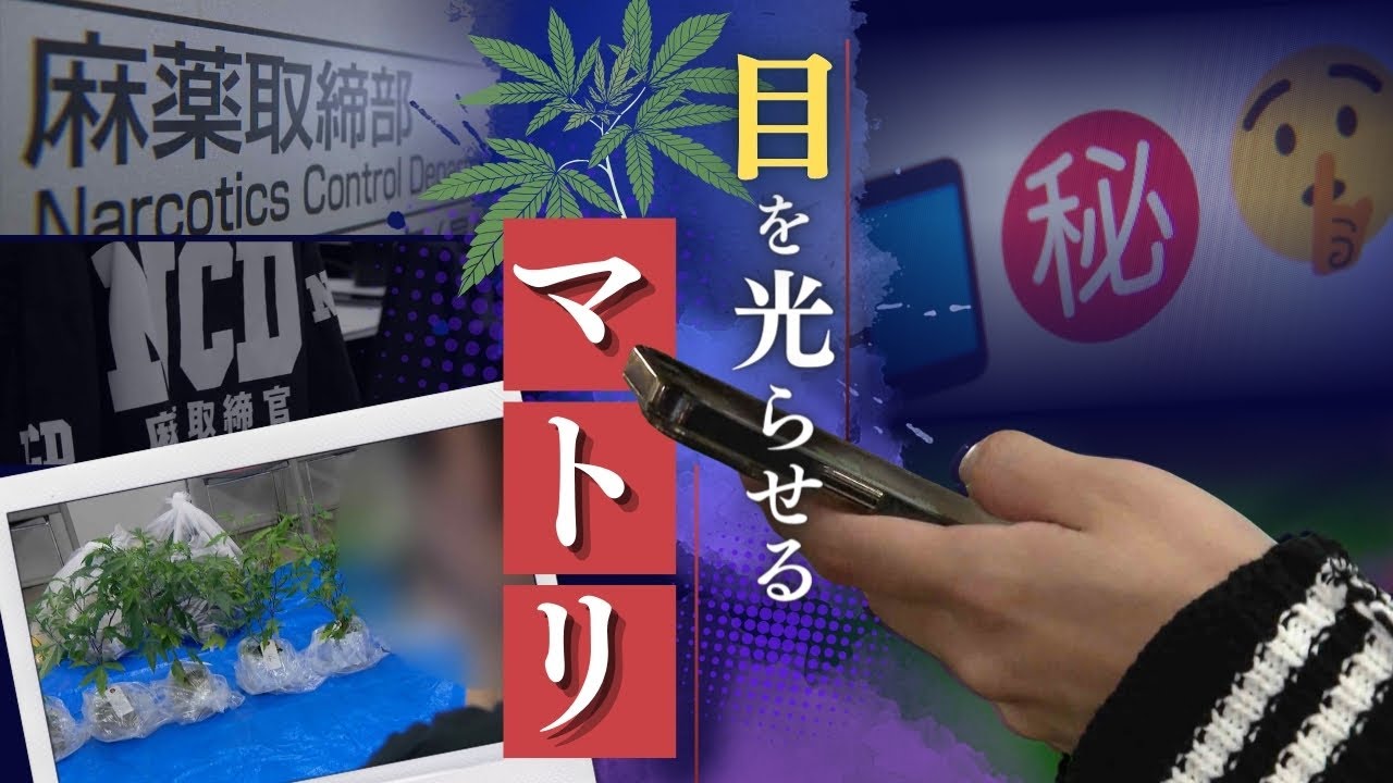 ＳＮＳでやりとりされる“大麻取引”の隠語も解読…マトリ（麻薬取締部）が“高濃度リキッド”の監視を強化中