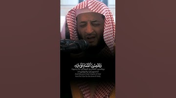 ﴿ إِنَّمَا نُطۡعِمُكُمۡ لِوَجۡهِ ٱللَّهِ ﴾ تلاوة خاشعة بديعة للشيخ هاني الرفاعي من سورة الإنسان 🖤🍂