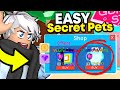 EASIEST 10 SECRET PETS To Get In BubbleGum Simulator (Roblox)