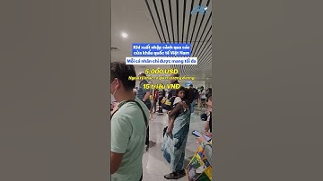 Được mang theo bao nhiêu tiền mặt khi xuất nhập cảnh Việt Nam?? #sanbay #nhapcanh #xuatcanh