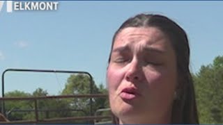 “Every Horse Owner’s Worst Nightmare”: four horses killed in tragic Elkmont crash