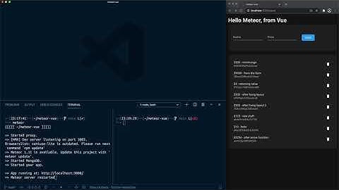 25: [Meteor + Vue] Vue Router