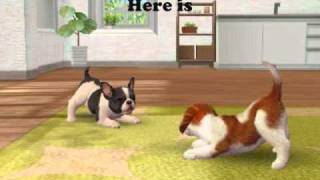 Nintendogs + Cats - Cheats, Tips and Hints