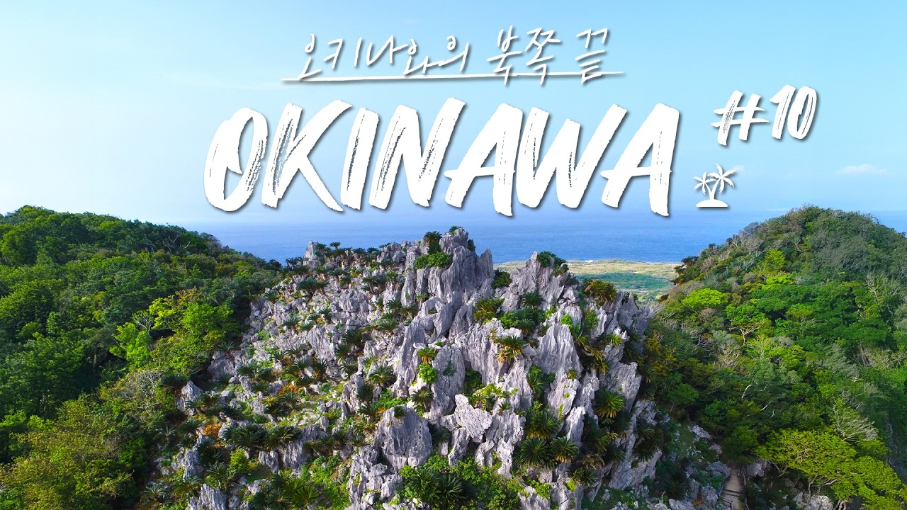 🏞️ 한국인 99% 모르는 오키나와 북쪽 끝 절경 [오키나와 12일 | Day 10]