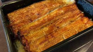 Chikuyotei Ginza - Amazing Unagi (EEL 🐍)