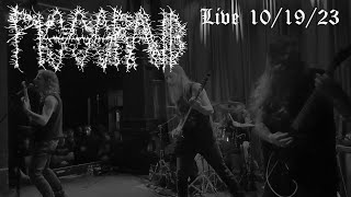Pissgrave - Live 10/19/23
