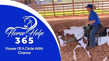 Power Of A Circle With Chance | Horse Help - Michael Gascon