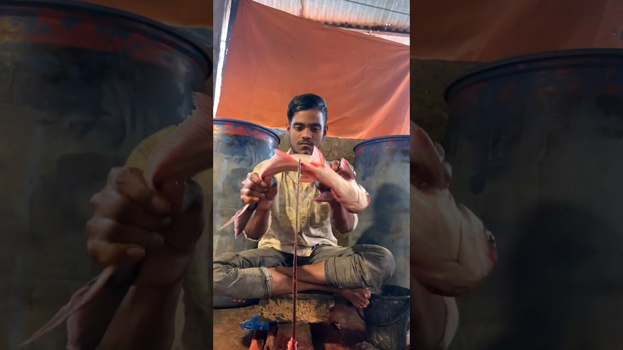 Amazing Pangas Fish Cutting Skills Live In Fish Market 