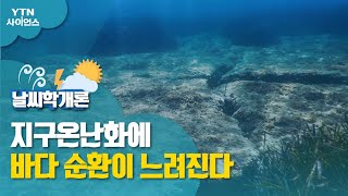 [날씨학개론] 지구온난화에 바다 순환이 느려진다 / YTN 사이언스