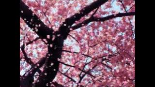 maria callas one fine day (madam butterfly)