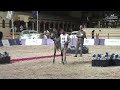 N.61 Bardes Abu Dhabi - The Egyptian Event Cairo 2024 - (Class 3B) SE Fillies 2 Years Old (Class...