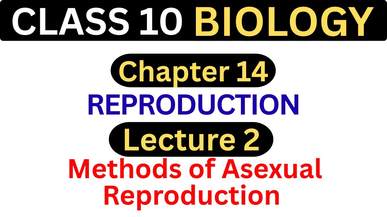 Methods of Asexual Reproduction | Chapter 14 - Reproduction | Lecture 2 | Class 10 Biology