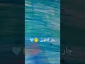 رسم دوفلا مينجو حسب طلب المتابعين مبروك اغنيه Art بيسان اسماعيل خطيه خطية طلبيات رسم 