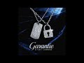 Gims Feat La Rvfleuze Garantie Audio Officiel