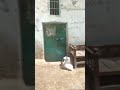 جولة في قرية دندرة بمحافظة قنا رايحين كتب كتاب بنت خالي ربنا يتمملها ع خير لايك واشتراك بقي
