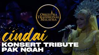 Siti Nurhaliza - Cindai ft Orkestra Tradisional Malaysia (KONSERT TRIBUTE PAK NGAH), Istana Budaya