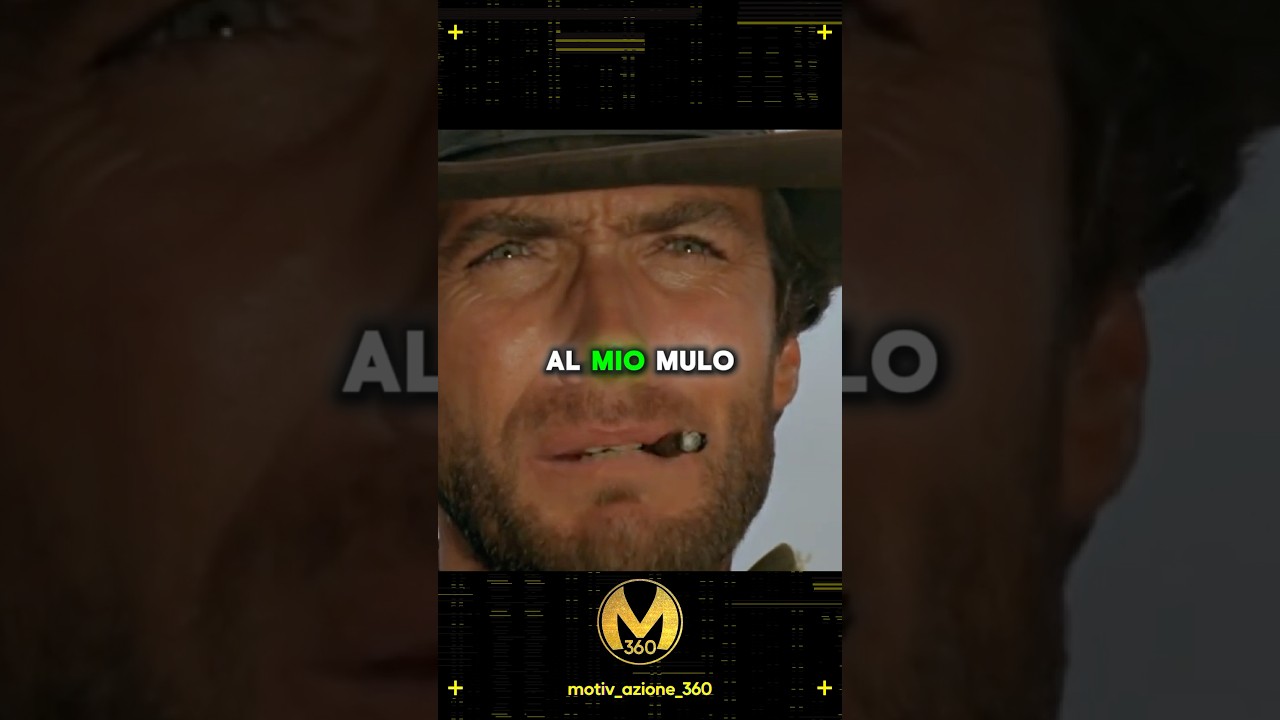 Al mio mulo non piace la gente che ride… 