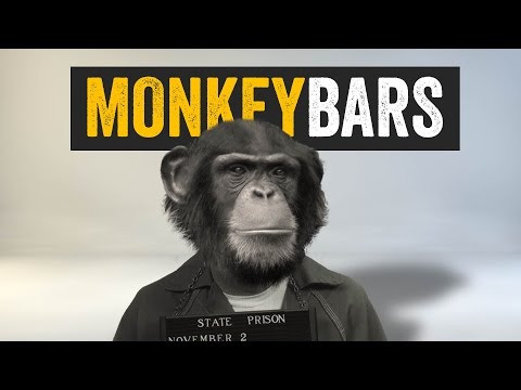 MonkeyBars Promo