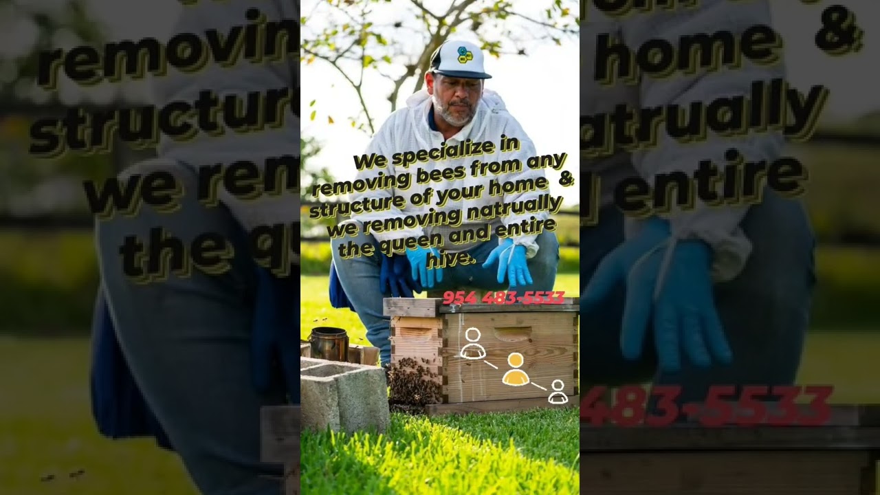 Beeboyz inc Live bee removal and relocation service in Southwest Ranches,Fl.