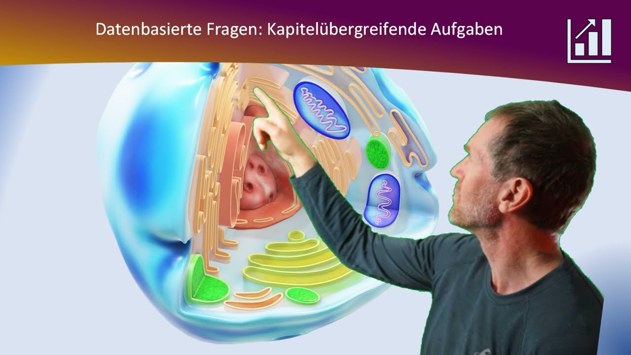 Chargaff Regeln - Datenbasierte Aufgaben zu Purin und Pyrimidinbasen und ihren Verhältnissen in DNA