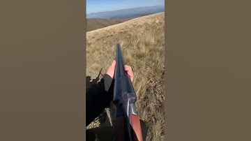 Russian double barrel shotgun