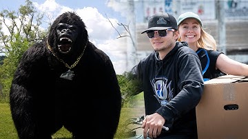 Jake Timm: 2025 World of Outlaws Late Model Rookie of the Year Contender