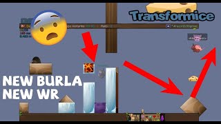 The best burlas , grip hack | Transformice 2022
