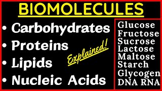 Carbohydrates Lipids Fats U0026 Oils  Steroids U0026 Proteins  Nucleic Acids Dna U0026 Rna  Biomolecules Neet