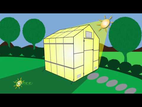 Solexx Greenhouses - Why Diffuse Light is Best For Plants