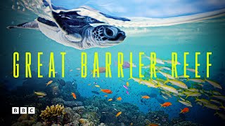 Great Barrier Reef | BBC Select