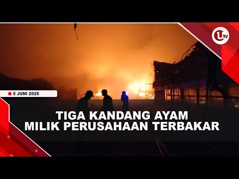TIGA KANDANG AYAM MILIK JAPFA GROUP LUDES DILALAP API | U-NEWS
