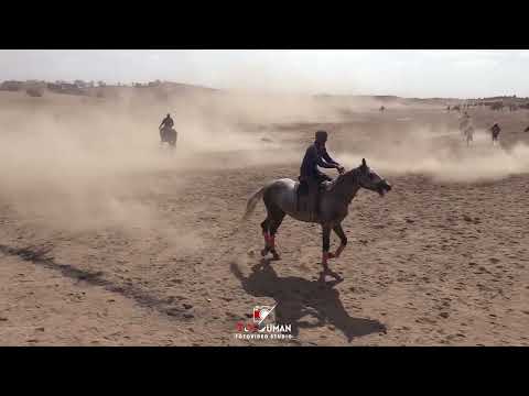 Зинетбек мырзаның Сулу көгімен Ислам шабандоз