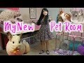 New Pet Room | Room & Cages Tour