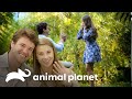 Bindi e Chandler ficam noivos no "Australia Zoo" | A Família Irwin | Animal Planet Brasil