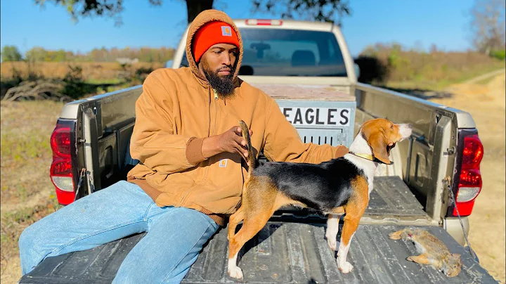 Rabbit Hunting NC Marsh Rabbits With, Mr. Joe Wing...