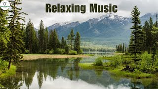 موسيقى هادئة للاسترخاء مع مناظر طبيعية - Relaxing Music