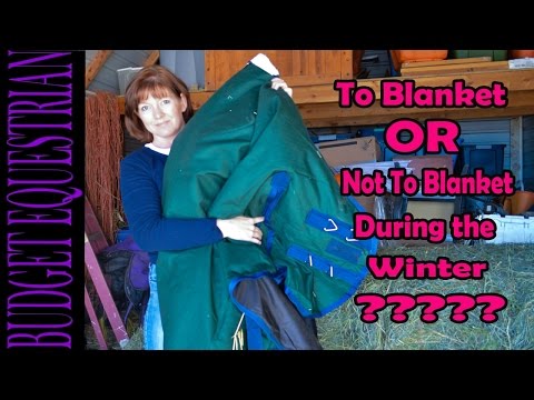 Vídeo: To Blanket ou não cobertor seu cavalo no inverno?