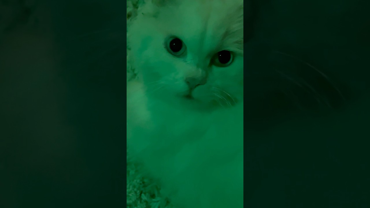 Look at her eyes 👀 